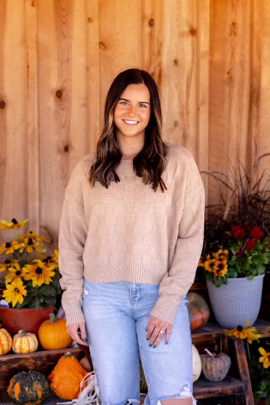 Siena Checkered Knit Sweater | Taupe Elegant Slim Sweater